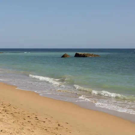 Hopstays - Andorinha